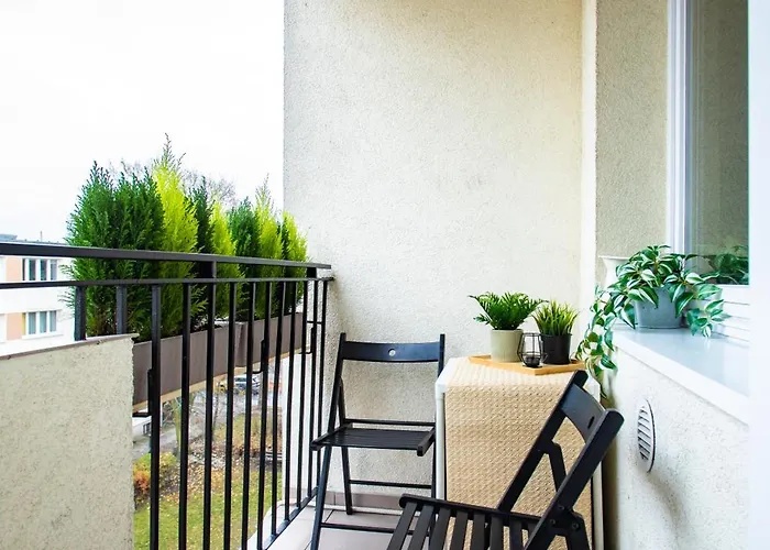 Potockiej 39 - Lazarz Poznań